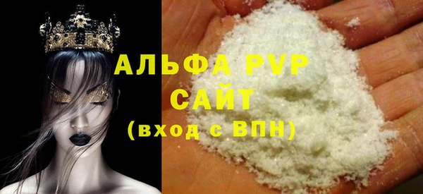 индика Гатчина