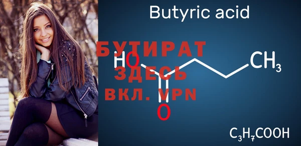 индика Гатчина