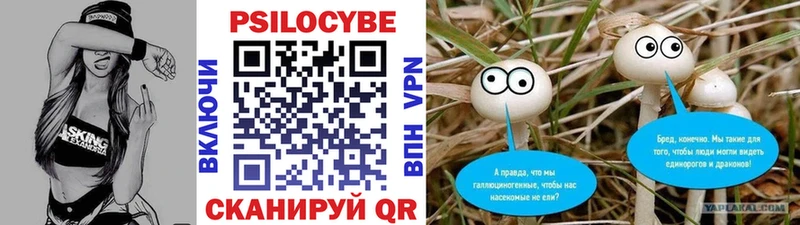 Псилоцибиновые грибы Magic Shrooms сколько стоит Сретенск