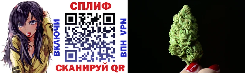 купить наркотики цена  Сретенск  ссылка на мегу как зайти  Бошки марихуана план 